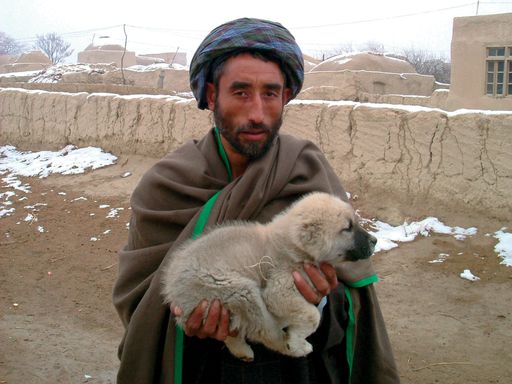 Nord de l’Afghanistan.